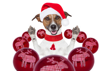 Image showing christmas dog with santa hat and balls 