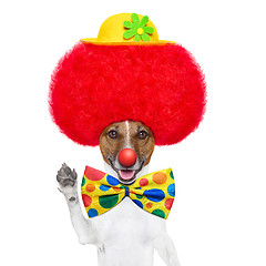 Image showing clown dog with red wig and hat