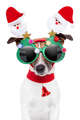 Image showing xmas dog 