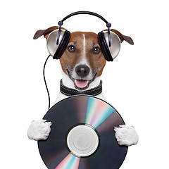 Image showing music headphone cd dog