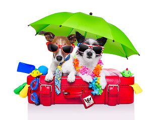 Image showing holiday dogs