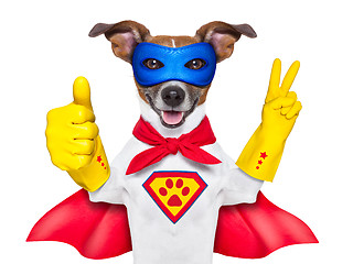 Image showing super hero dog