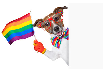 Image showing gay pride dog