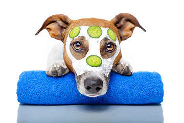 Image showing dog with a beauty mask