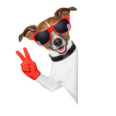 Image showing peace fingers dog