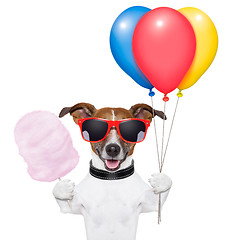 Image showing dog balloons and cotton candy