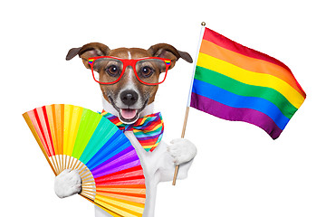 Image showing gay pride dog