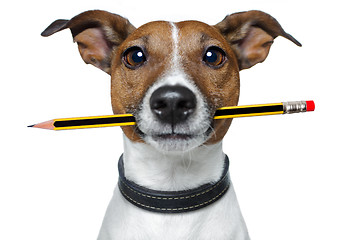 Image showing dog with pencil and eraser