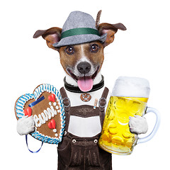 Image showing oktoberfest dog