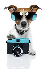 Image showing dog photographer 