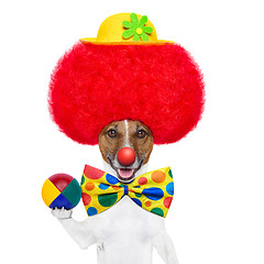 Image showing clown dog with red wig and hat