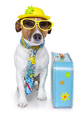 Image showing vacation tourist dog