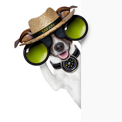 Image showing safari dog