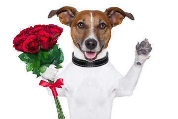 Image showing valentine dog  