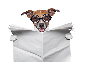 Image showing crazy dog reading news