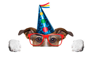 Image showing birthday dog