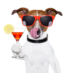 Image showing dog with cocktail