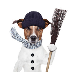 Image showing rain broom dog