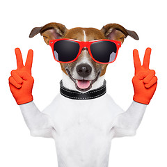 Image showing peace and victory fingers dog