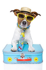 Image showing vacation tourist dog