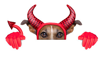 Image showing devil dog 