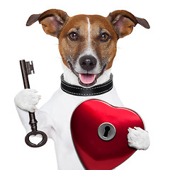 Image showing valentine dog  , unlock my heart