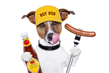 Image showing fast food hungry dog