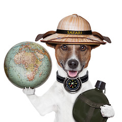 Image showing travel globe compass dog safari