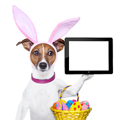 Image showing  funny easter dog