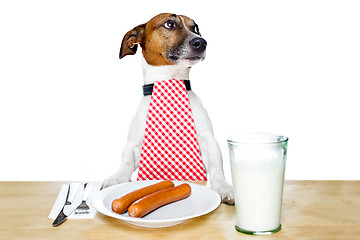 Image showing dinner meal at table dog 