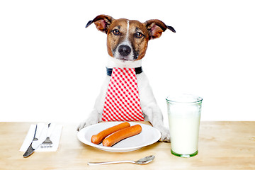 Image showing dinner meal at table dog 