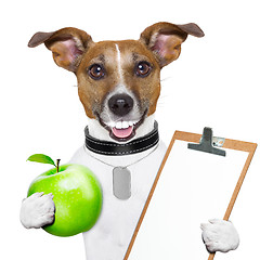 Image showing fitness and healthy dog