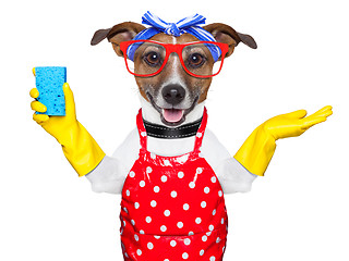 Image showing housewife dog 