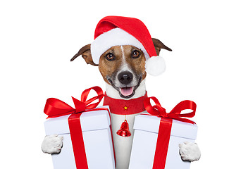 Image showing christmas dog 