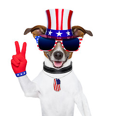 Image showing usa american dog 