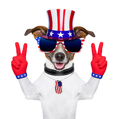 Image showing usa american dog 