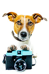 Image showing dog photo camera