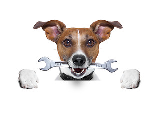 Image showing craftsman dog 