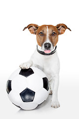 Image showing dog with a white soccer ball