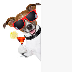 Image showing funny cocktail dog 