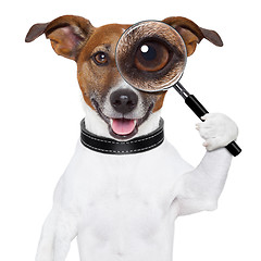 Image showing dog with magnifying glass