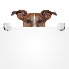 Image showing placeholder banner dog