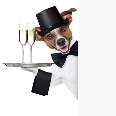 Image showing dog toasting