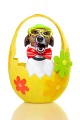 Image showing dog in colorful easter egg 