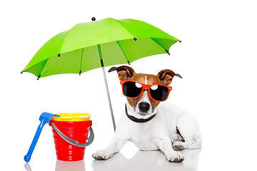 Image showing dog sunbathing with umbrella