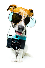 Image showing dog photo camera