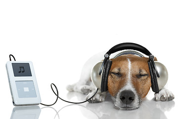 Image showing Dog listen to music with a music player