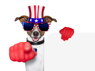 Image showing usa american dog 