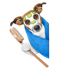 Image showing dog with a beauty mask