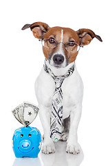Image showing dog with piggy bank